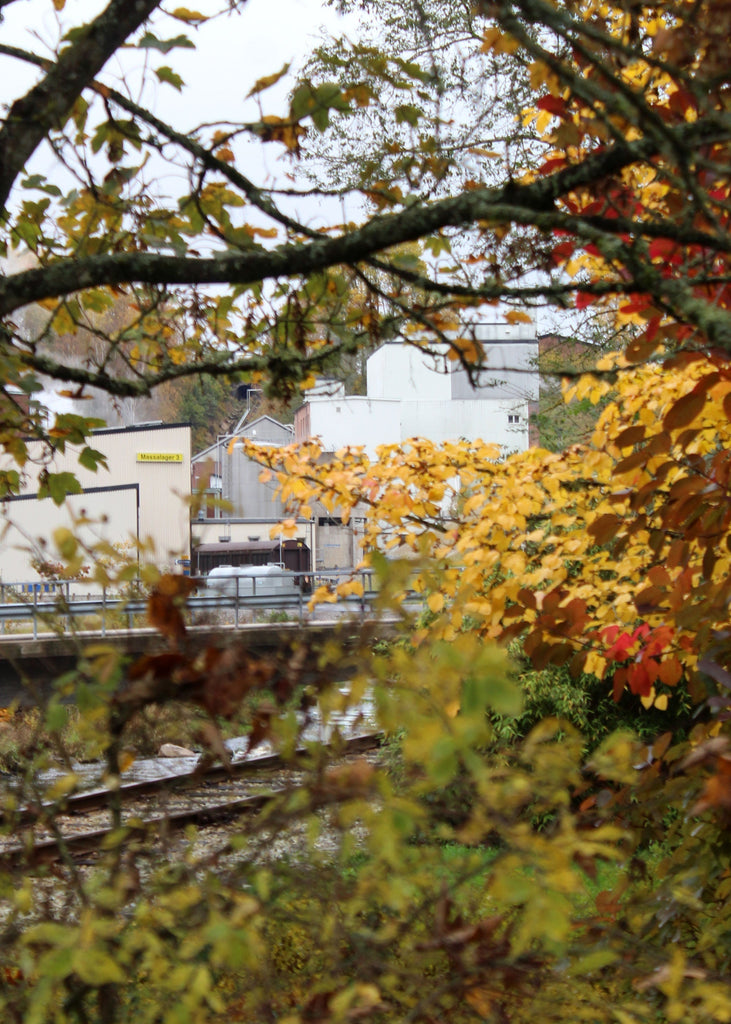 A visit to our Swedish paper mill