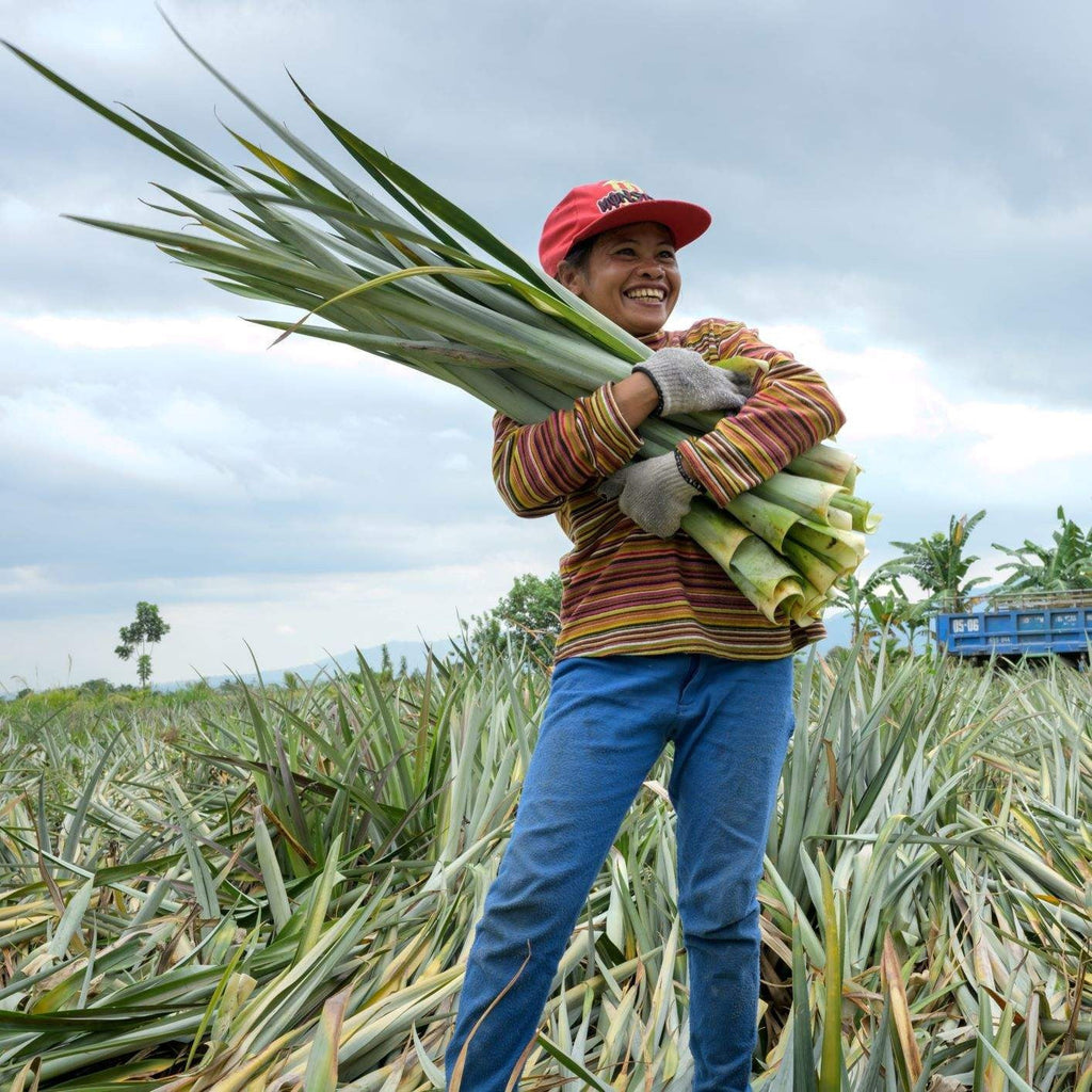 Piñatex: Good for people and the planet