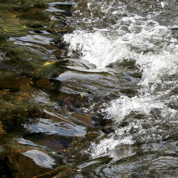 Ingredients that flow | Water + the paper-making landscape