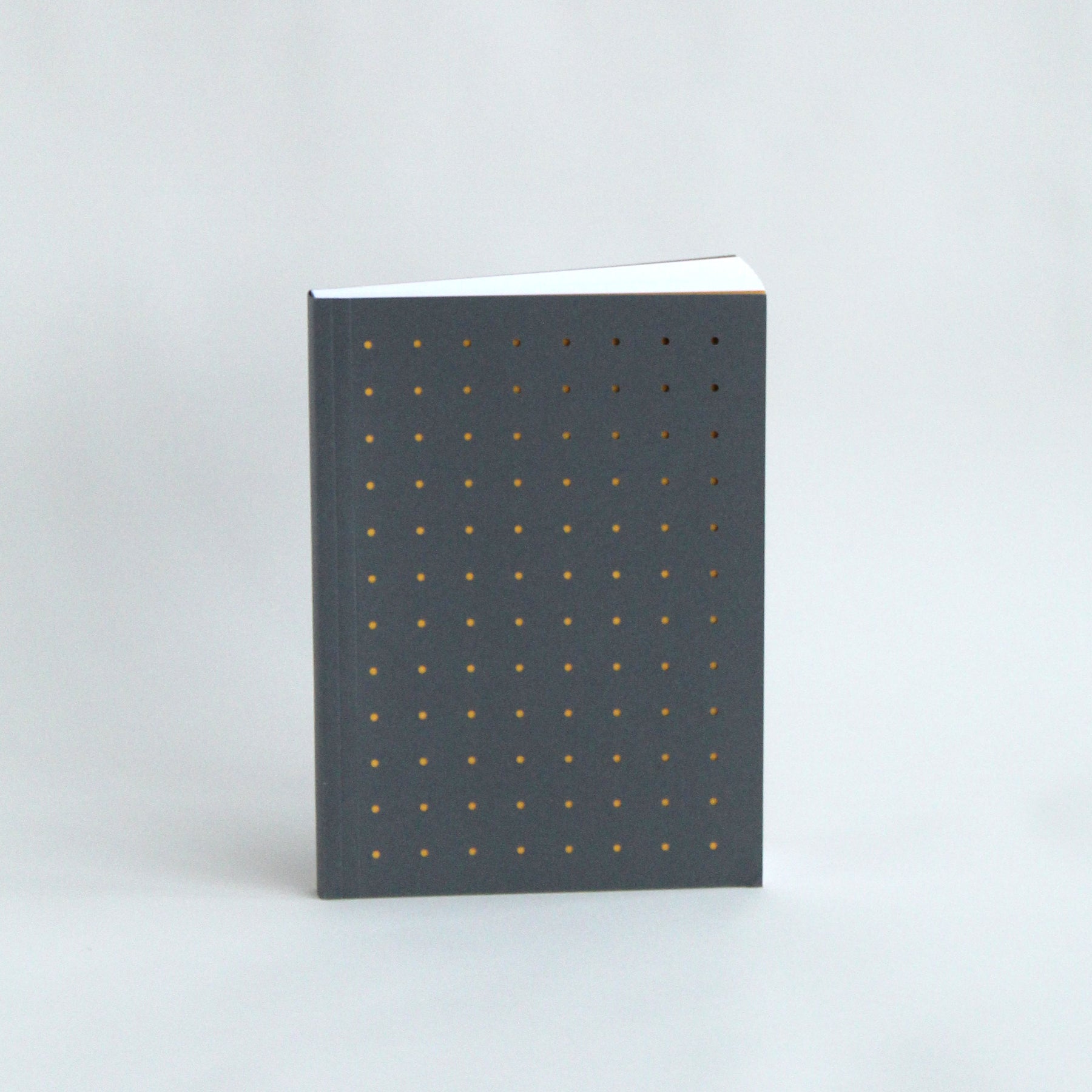 Notebooks | MARK+FOLD