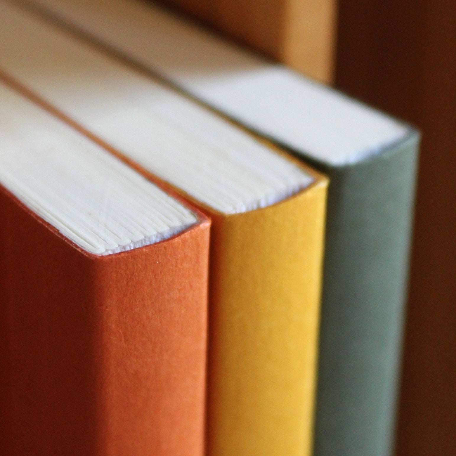Three notebooks in rust red, mustard yellow and sequoia green, stacked on a wooden surface