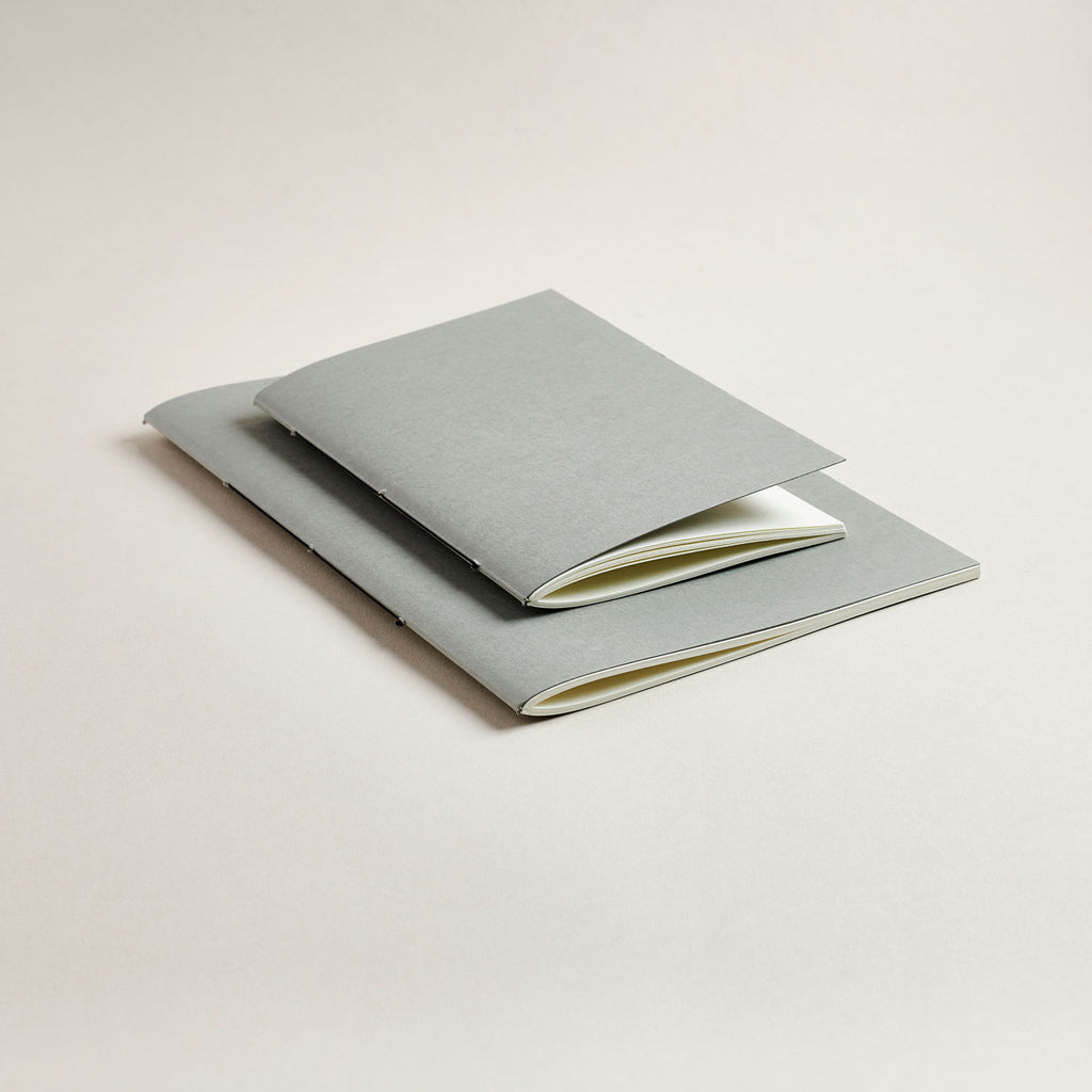 Two light gray 'lichen' notebooks on a beige background